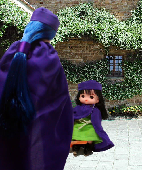 DQ5 二人の主人公 1