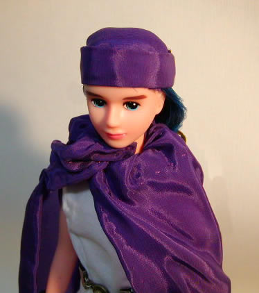 ＤＱ５主人公　表情