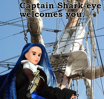 シャークアイ 帆船 トップ