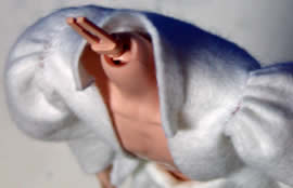 ピサロ　フェルト試作1　上から