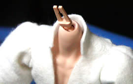 ピサロ　フェルト試作２　上から